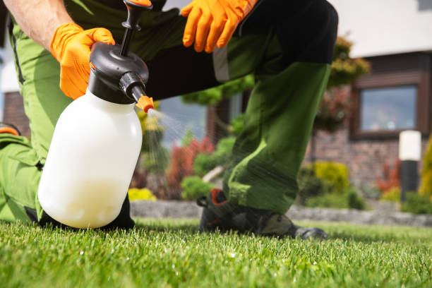 Best Local Pest Control Services  in Surfside, FL